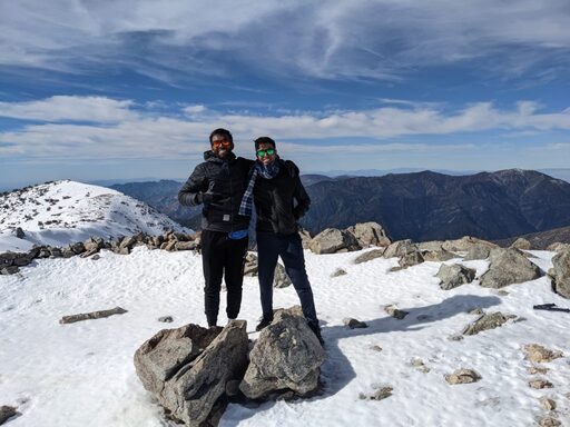 baldy4