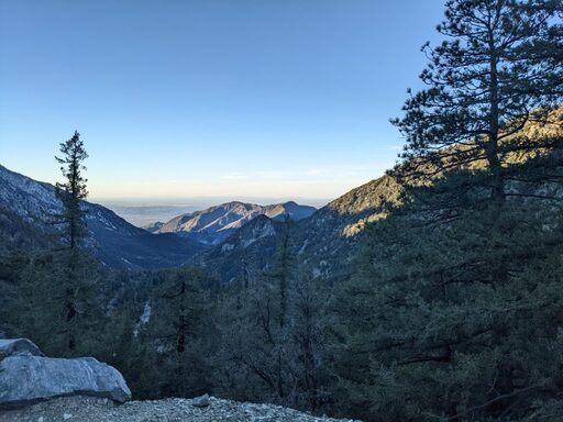 baldy4